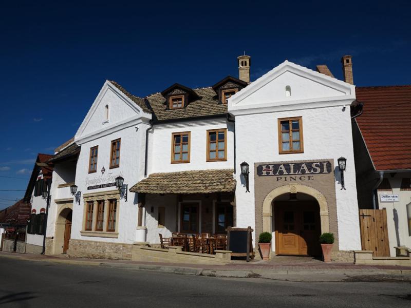 Halasi Pince Panzio Villany Exterior photo
